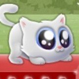 Игра Экстремальный Кот