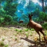Игра Охотник 3Д Игра Охотник 3Д